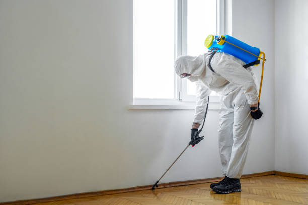 Best Pest Control Treatment  in Pearl City, HI
