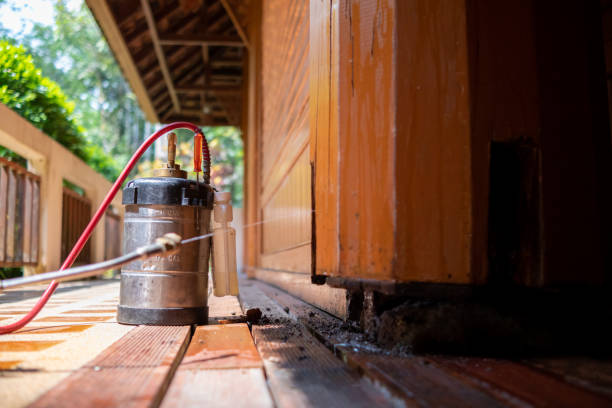 Pest Control for Restaurants in Pearl City, HI