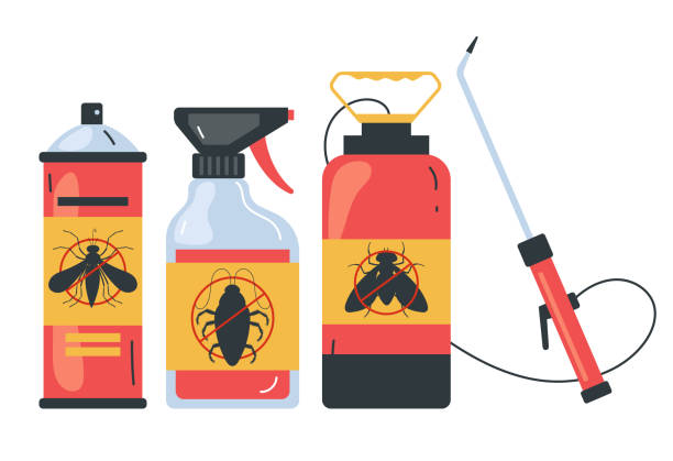 Best Ant Control Services  in Pearl City, HI